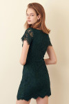 SD1438-GREEN